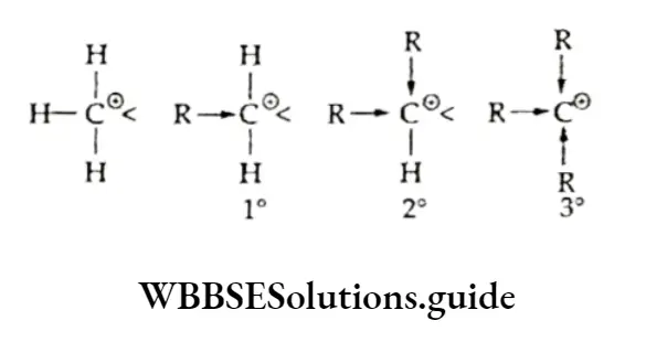 Basic Chemistry Class 11 Chapter 12 Organic Chemistry—Some Basic Principles And Techniques Notes Alkyl Free Radicals