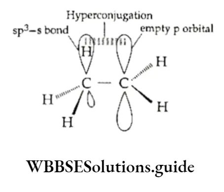 Basic Chemistry Class 11 Chapter 12 Organic Chemistry—Some Basic Principles And Techniques Notes Orbital Diagram Showing Hypercojugation