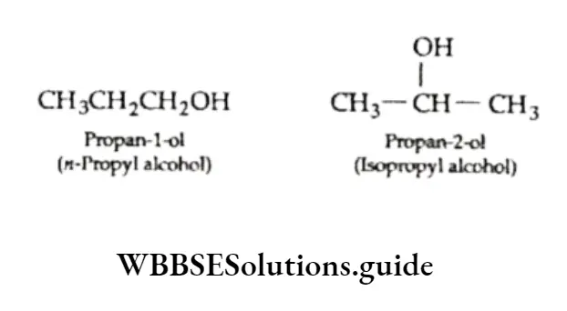 Basic Chemistry Class 11 Chapter 12 Organic Chemistry—Some Basic Principles And Techniques Notes Position Isomerism