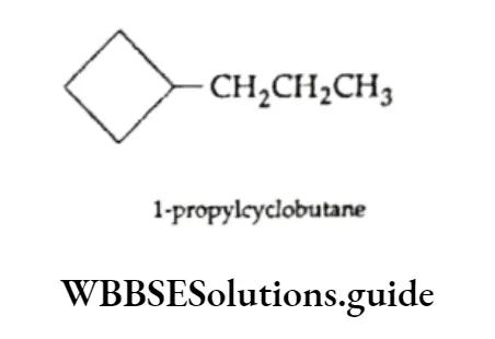 Basic Chemistry Class 11 Chapter 12 Organic Chemistry—Some Basic Principles And Techniques Notes Propylcyclobutane