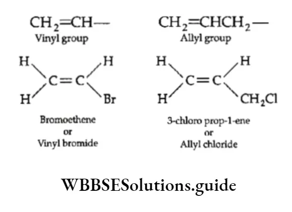Basic Chemistry Class 11 Chapter 12 Organic Chemistry—Some Basic Principles And Techniques Notes Terminal Hydrogen