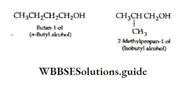 Basic Chemistry Class 11 Chapter 12 Organic Chemistry—Some Basic Principles And Techniques Notes n-Butyl Alcohol
