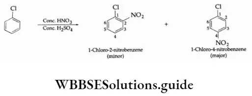 Basic chemistry Class 12 Chapter 10 Haloalkanes and Haloarenes Nitration