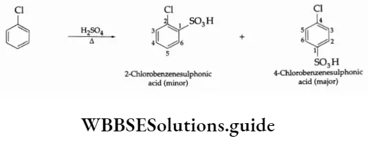 Basic chemistry Class 12 Chapter 10 Haloalkanes and Haloarenes Sulphonation