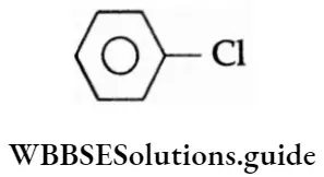 Basic chemistry Class 12 Chapter 10 Haloalkanes and Haloarenes aryl halide.