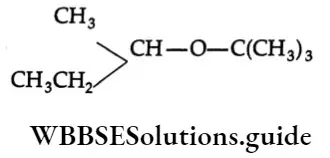 Basic chemistry Class 12 Chapter 10 Haloalkanes and Haloarenes main product