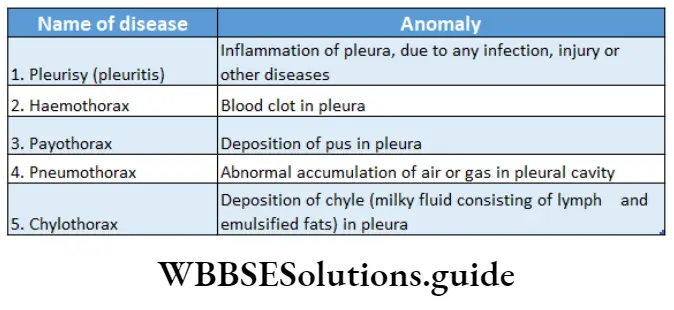 Biology Class 11 Chapter 17 Breathing And Exchange Of Gases Diseases Related To Pleura Of Lungs