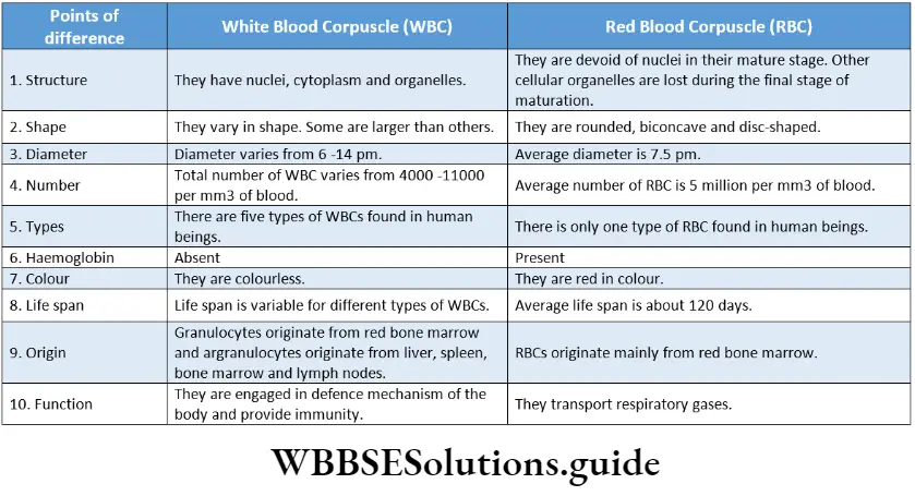 Biology Class 11 Chapter 18 Body Fluids And Circulation Differences Between RBCs And WBCs