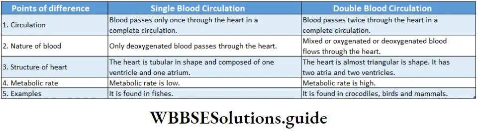 Biology Class 11 Chapter 18 Body Fluids And Circulation Different Between Single And Double Blood Circulation