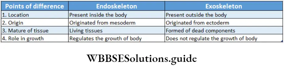 Biology Class 11 Chapter 20 Locomotion And Movement Differences Between Endoskeleteton And Exoskleton