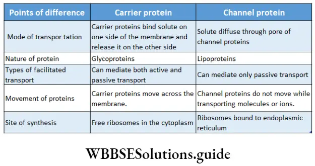 Biology class 11 chapter 11 Transport In Plants Differences between carrier protein and channel protein