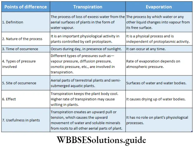 Biology class 11 chapter 11 Transport In Plants Differences between evaporation and transpiration