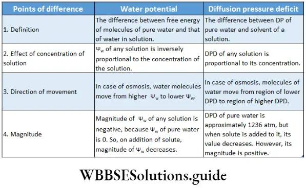 Biology class 11 chapter 11 Transport In Plants Differences between water potential and diffusion pressure deficit