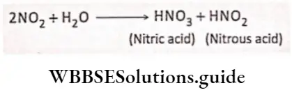 Biology class 11 chapter 12 Mineral Nutrition Nitric acid