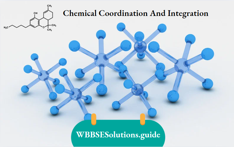 Chemical Coordination And Integration
