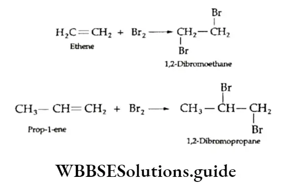 Class 11 Basic Chemistry Chapter 13 Hydrocarbons Addition Of Halogens