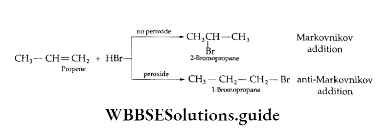 Class 11 Basic Chemistry Chapter 13 Hydrocarbons Addition Of Hydrogen Halides 2