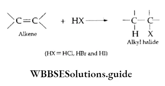 Class 11 Basic Chemistry Chapter 13 Hydrocarbons Addition Of Hydrogen Halides