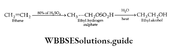 Class 11 Basic Chemistry Chapter 13 Hydrocarbons Addition Of Sulphuric Acid