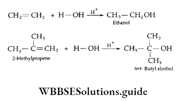 Class 11 Basic Chemistry Chapter 13 Hydrocarbons Addition Of Water