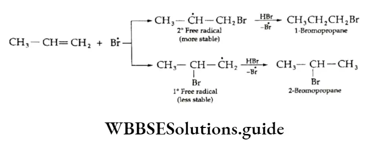 Class 11 Basic Chemistry Chapter 13 Hydrocarbons Bromine Free Radical