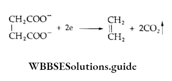 Class 11 Basic Chemistry Chapter 13 Hydrocarbons Electrolysis Of Salts Of Dicarboxyllc Acids At Cathode