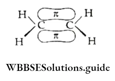 Class 11 Basic Chemistry Chapter 13 Hydrocarbons Electron Carbon In Carbon -Carbon Double Bond
