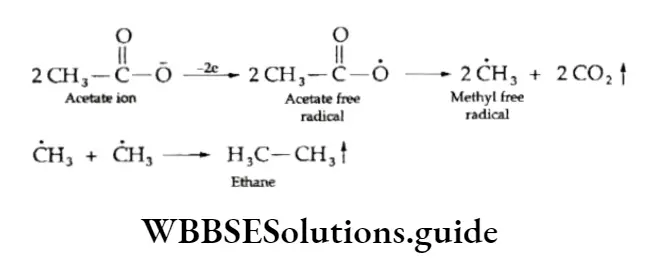 Class 11 Basic Chemistry Chapter 13 Hydrocarbons Kolbe's Electrolytic Method