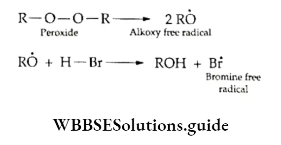 Class 11 Basic Chemistry Chapter 13 Hydrocarbons Perocide Dissociates