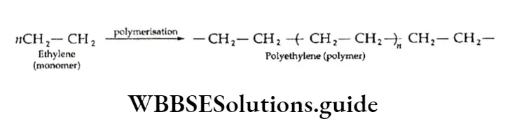 Class 11 Basic Chemistry Chapter 13 Hydrocarbons Polymerisation