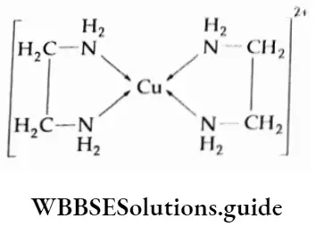 Coordination Compounds and Organometallics Chelating ligands and chelates