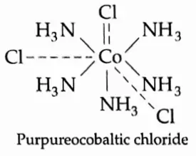 Coordination Compounds and Organometallics Praseocobaltic chloride