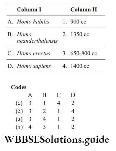NEET Biology A Brief Account Of Evolution And Human Evolution MCQs Question 107 Match the following columns