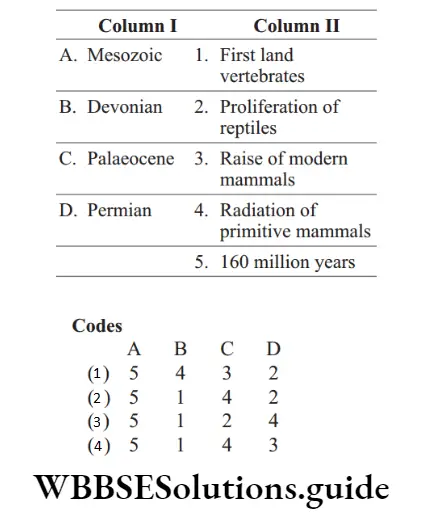 NEET Biology A Brief Account Of Evolution And Human Evolution MCQs Question 14 Match the following columns (2)
