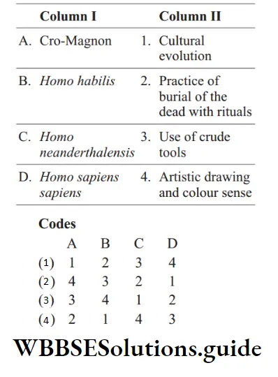 NEET Biology A Brief Account Of Evolution And Human Evolution MCQs Question 57 Match the following columns
