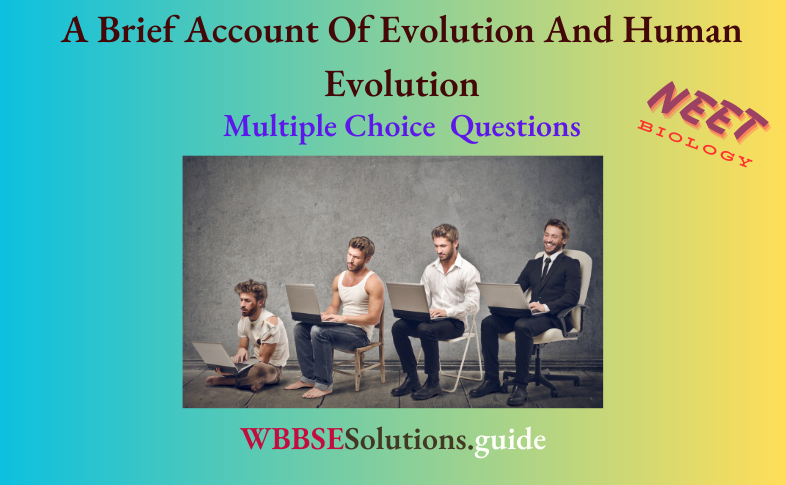 NEET Biology A Brief Account Of Evolution And Human Evolution MCQs