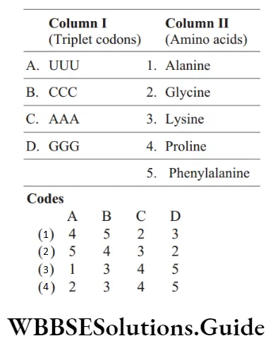 NEET Biology Genetic Code And RNA MCQs Question 18 Match the following coloumn