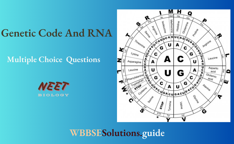 NEET Biology Genetic Code And RNA Multiple Choice Question And Answers