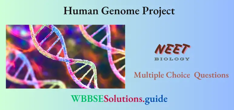 NEET Biology Human Genome Project Multiple Choice Question And Answers