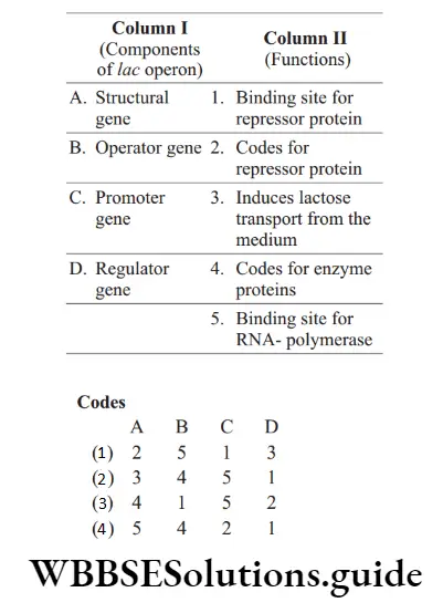 NEET Biology Regulation Of Gene Expression MCQs Question 17 Match the Following Coloumns