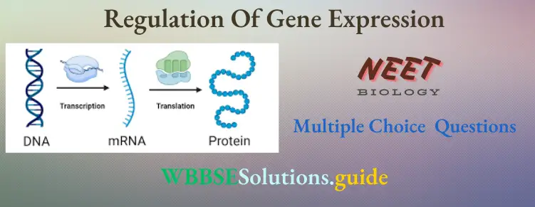 NEET Biology Regulation Of Gene Expression Multiple Choice Question And Answers