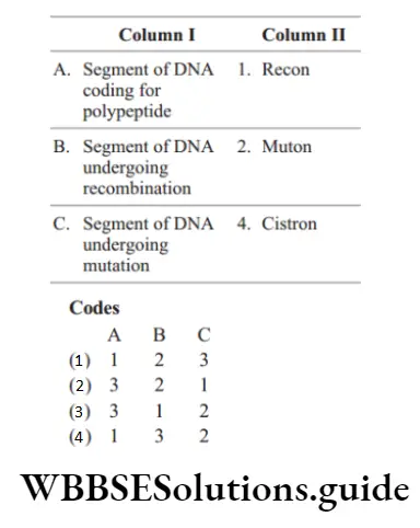 NEET Biology The DNA MCQs Question 28 Match The following columns