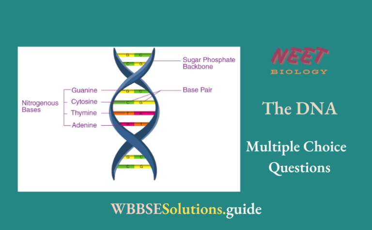 NEET Biology The DNA Multiple Choice Question And Answers - WBBSE Solutions