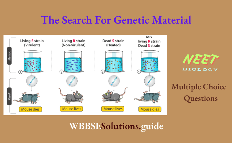 NEET Biology The Search For Genetic Material Multiple Choice Question And Answers