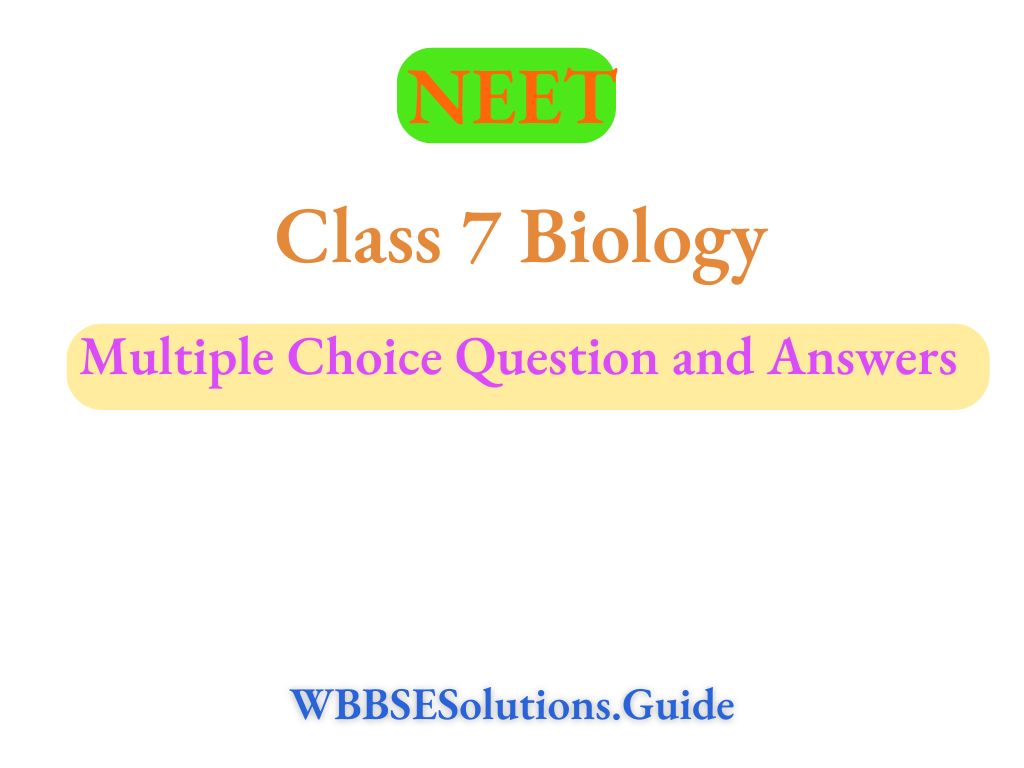 NEET Class 7 Biology Multiple Choice Question and Answers