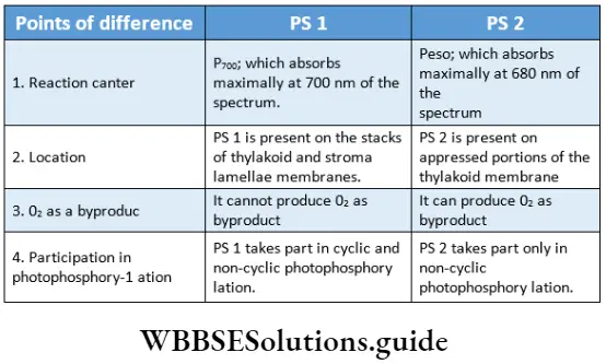 Photosystem Notes Wbbse Solutions