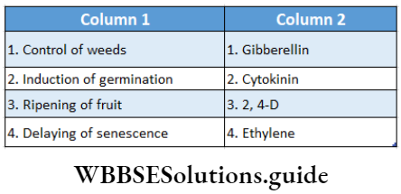 Plant Growth And Development multipule choice Question 10