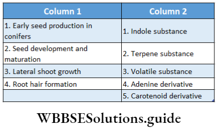 Plant Growth And Development multipule choice Question 19