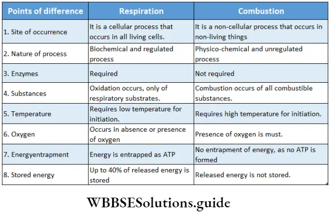 Respiration In Plants Notes - WBBSE Solutions