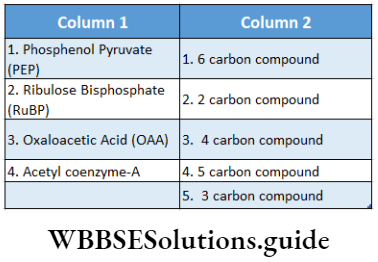 Respiration In Plants Phosphenol Pyruvate